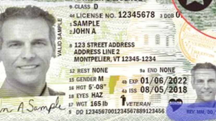 DMV Nightmare: REAL ID Rush Hour Sparks Appointment Chaos Across States