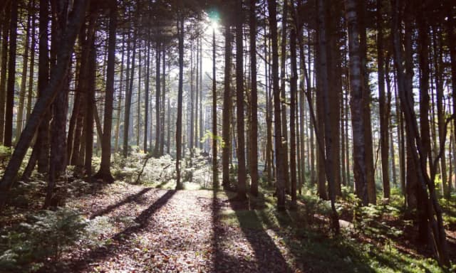 Earth Day: Local Action, Global Doubts