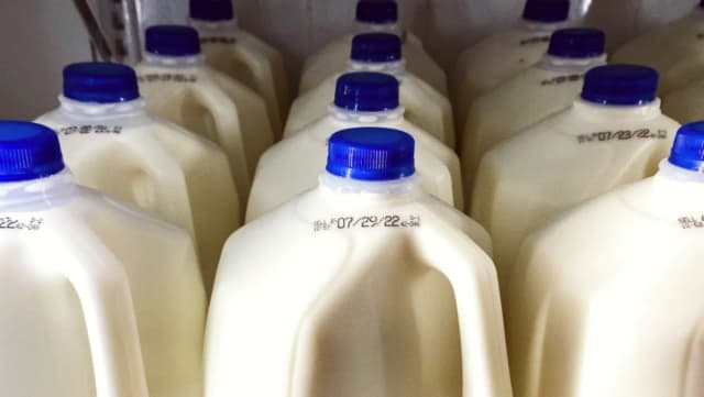 Food Safety Concerns Rise As US FDA Suspends Milk Quality Tests Program