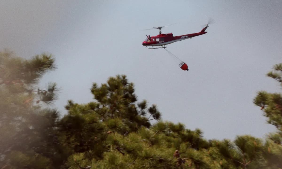 Ocean County Wildfire Ignited By Arson Teen Joseph Kling Charged