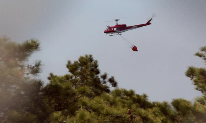 Ocean County Wildfire Ignited By Arson Teen Joseph Kling Charged