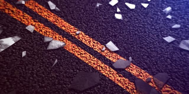 Kangaroo Causes Two-Vehicle Crash, Disrupts I-85 in Macon County