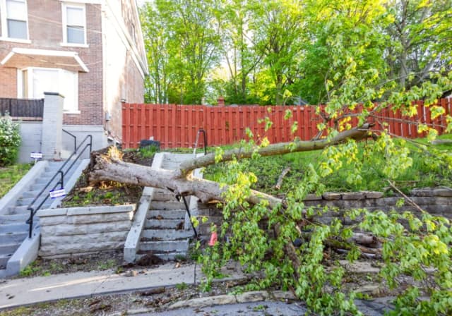 Severe Storm Knocks Out Power for Hundreds of Thousands in Pennsylvania
