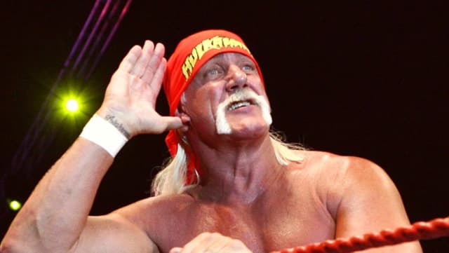 Hulk Hogan Television Appearance Sparks Online Discussion on New Look