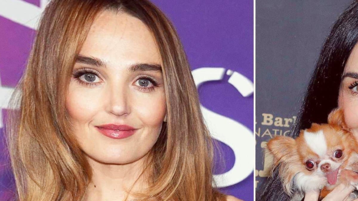 Chloe Fineman Describes Restaurant Dispute After Saying Hello To Demi Moore