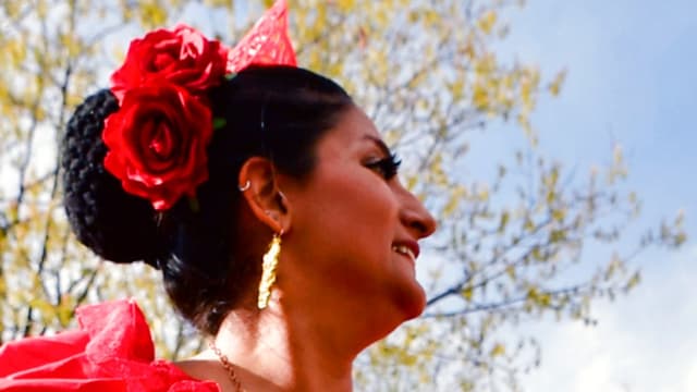 Cinco de Mayo Festival Celebrations Anticipated Across Midwest