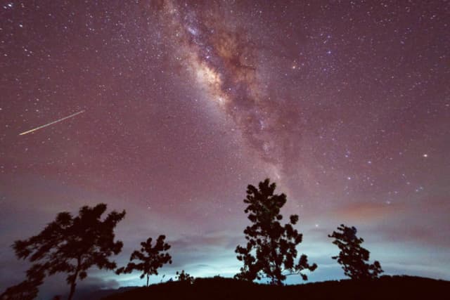 Halley's Comet Debris Powers Annual Eta Aquariids Meteor Shower Peak