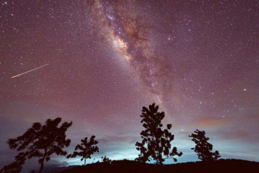 Halley's Comet Debris Powers Annual Eta Aquariids Meteor Shower Peak