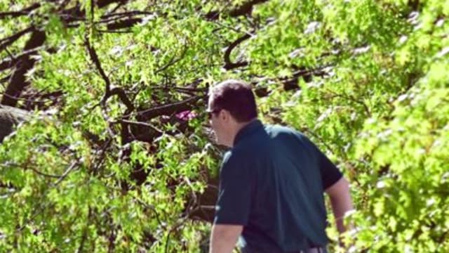 Deadly Storm Knocks Out Power to Hundreds of Thousands in Pittsburgh