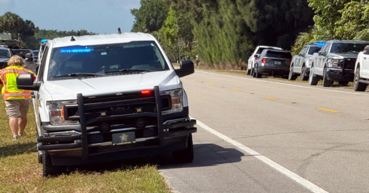 Authorities Search After Bear Kills Man, Dog in Collier County