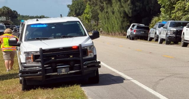 Authorities Search After Bear Kills Man, Dog in Collier County