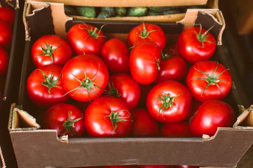 Tomatoes Recalled Across Multiple States for Salmonella Risk