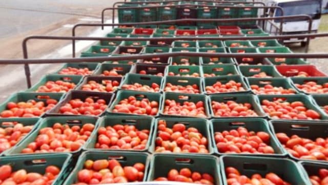 U.S. Set To Impose Tariff on Mexican Tomatoes Starting July
