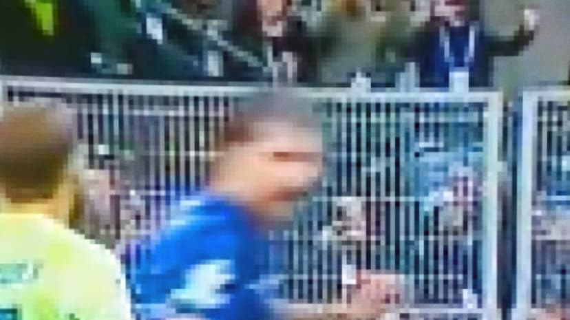 Spitting Incident Involves Martinez, Inter's Francesco Acerbi During Match