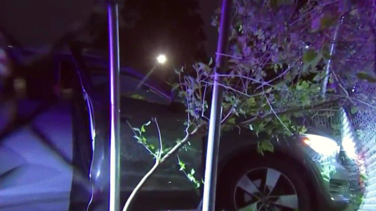 Juveniles Arrested After Carjacking Pursuit Ends in Crash in Fern Rock